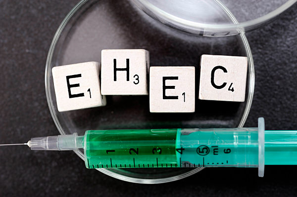 Schriftzug EHEC in einer Petrischale und Spritze, Suche nach Auslöser und Gegenmittel des EHEC-Erregers