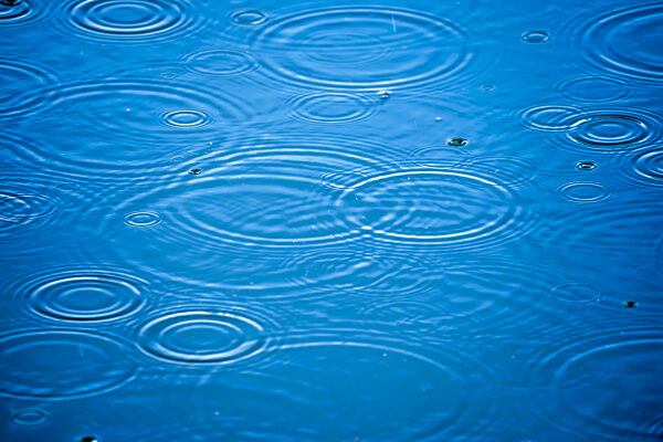 Regentropfen bilden kleine Wellenkreise auf einem See