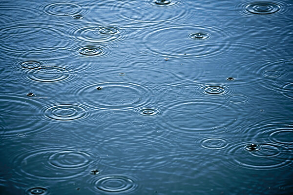 Regentropfen bilden kleine Wellenkreise auf einem See