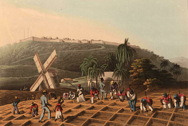 Enslaved blacks planting sugarcane in thefields, more slaves carrying bundles of sugarcane for planting, 1833, Historic, digitally restored reproduction from a 19th century original.  /  Versklavte Schwarze pflanzen Zuckerrohr auf denFeldern, weitere Sklav