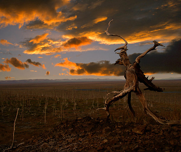 Requiem. Sunset over forest-tundra landscape