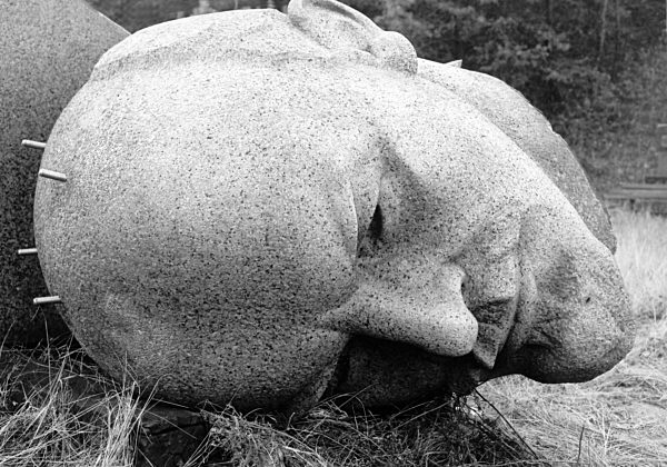 Der 3,5 Tonnen schwere Kopf des Lenindenkmals wird nach dem Abriss der...