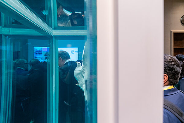 Symbol of Peace Amidst Diplomatic Conversations