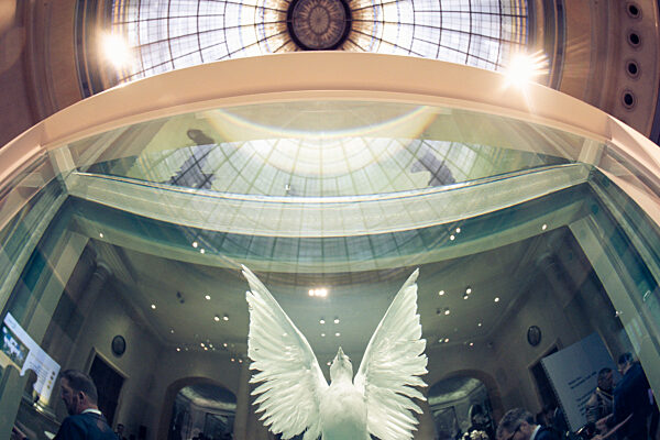 Symbol of Peace Under the Dome