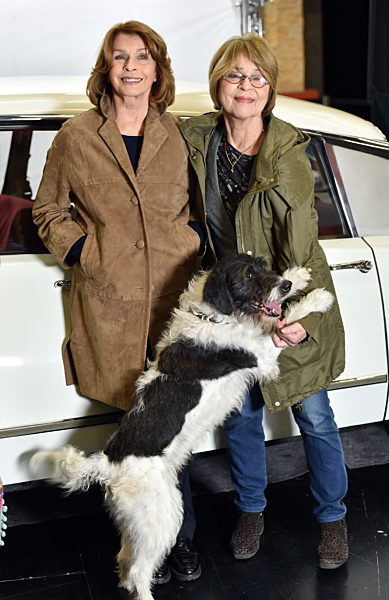 Settermin Almuth und Rita raeumen auf