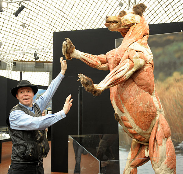 Koerperwelten der Tiere