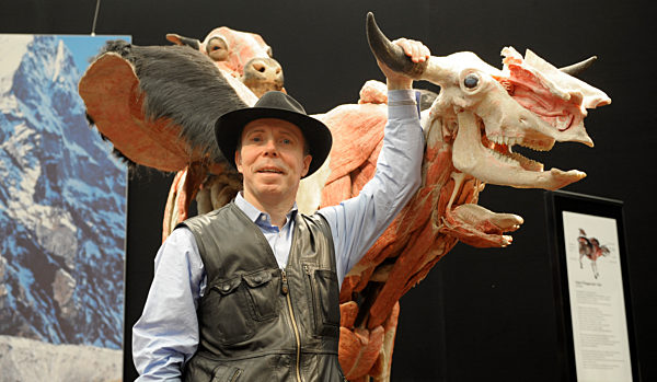 Koerperwelten der Tiere