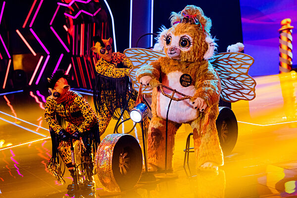 "The Masked Singer"