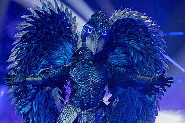 "The Masked Singer"