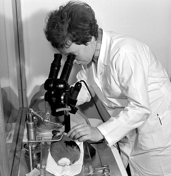 Arbeitshygiene Jena 1974