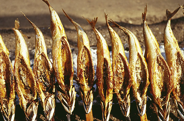 Makrele am Spieß auf dem Oktoberfest