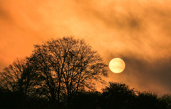 Sonnenaufgang bei Nebel in Baden-Württemberg