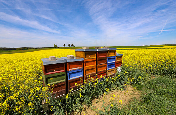 Wetter in Baden-Württemberg