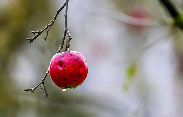 Wetter in Baden-Württemberg