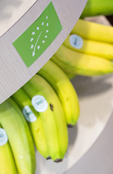 Fruit Logistica 2015 - Bio-Bananen
