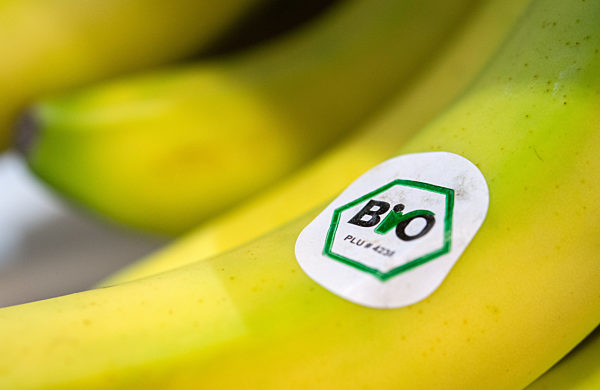 Fruit Logistica 2015 - Bio-Bananen