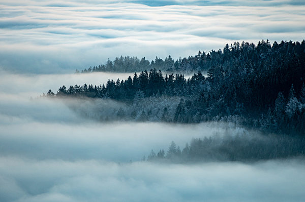 Nebel im Bayerischen Wald