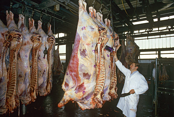 Reaktorunfall in Tschernobyl: Kontrolle von Lebensmitteln