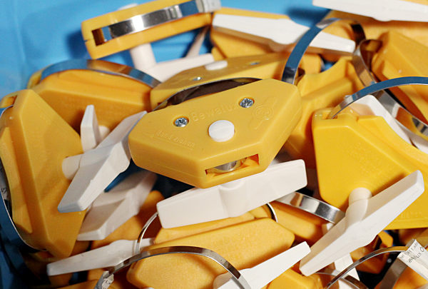 Das Geschäft mit der (N)Ostalgie