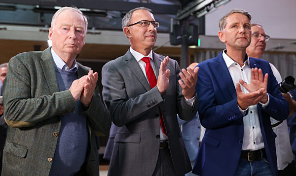 Landtagswahl Sachsen-Anhalt - AfD