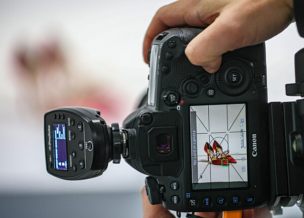 Mytheresa eröffnet Logistikzentrum in Schkeuditz