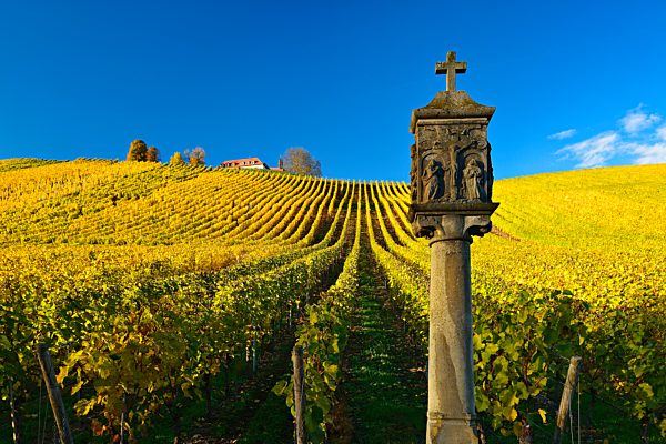 Wayside shrine in the vineyards in autumn, near Volkach, Lower Franconia, Main Franconia, Bavaria, Germany, Europe