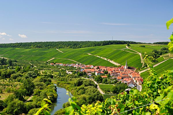 Escherndorf at the river Volkach, Bavaria, Germany, Europe