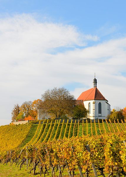 Church in vineyard