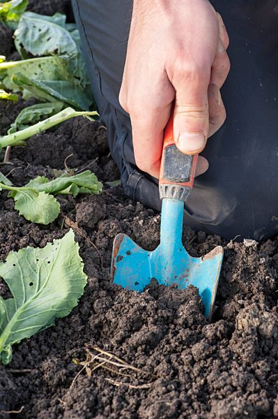 Hand holding a shovel