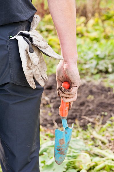 Man preparing the soil for the coming season