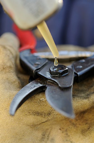Gardener oiling pruning shears