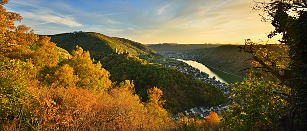 Aussicht ins Moseltal im Herbst mit Burg Thurant über dem Weinort Alken, hinten Löf, Abendlicht, Untermosel, Rheinland-Pfalz, Deutschland, Europa