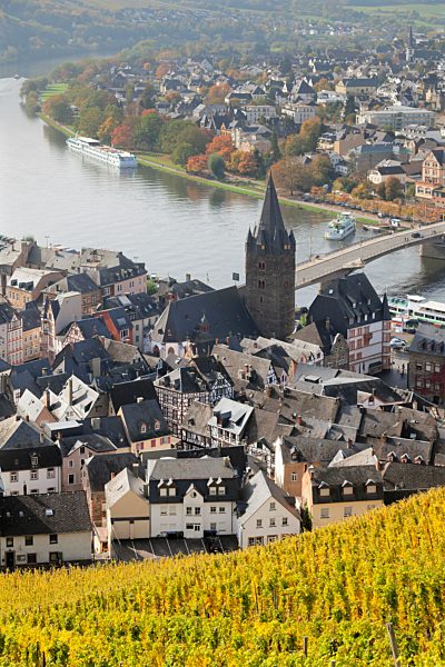 Ausblick vom Weinberg im Herbst, Bernkastel-Kues, Mosel, Rheinland-Pfalz, Deutschland, Europa