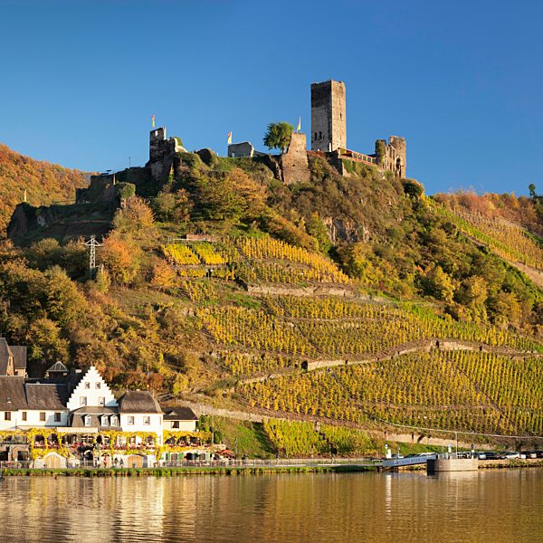 Burgruine Metternich mit Weinberg, Beilstein, Mosel, Rheinland-Pfalz, Deutschland, Europa