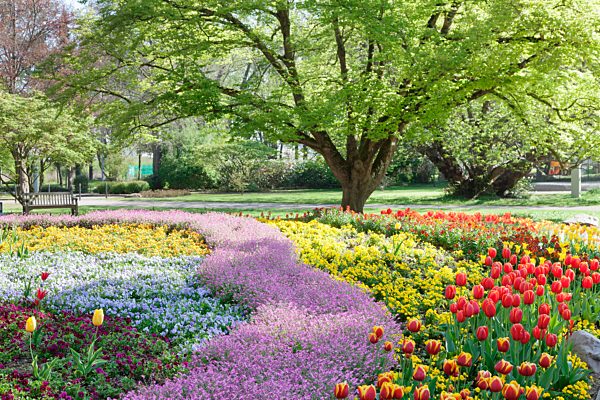 Kurpark, Bad Krozingen, Markgräfler Land, Schwarzwald, Baden-Württemberg, Deutschland, Europa