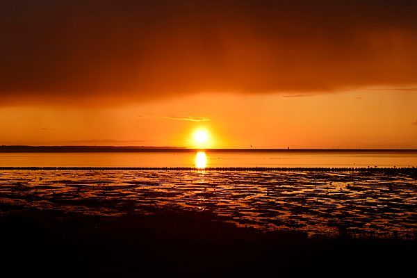 Aufgehende Sonne über dem Wattenmeer, Nebel, Amrum, Nordfriesische Insel, Nordfriesland, Schleswig-Holstein, Deutschland, Europa