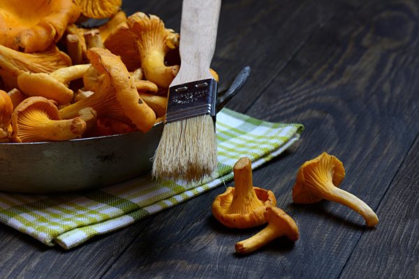 Pfifferlinge mit Pinsel, Pilze putzen