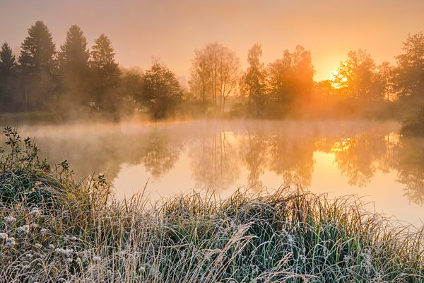 Herbstliche Morgenstimmung an Weiher im Naturschutzgebiet Wildert in Illnau, Raureif bedeckt Vegetation im Vordergrund sowie auf den Inseln und Nebelschwaden schweben bei Sonnenaufgang über dem Wasser, Kanton Zürich, Schweiz, Europa
