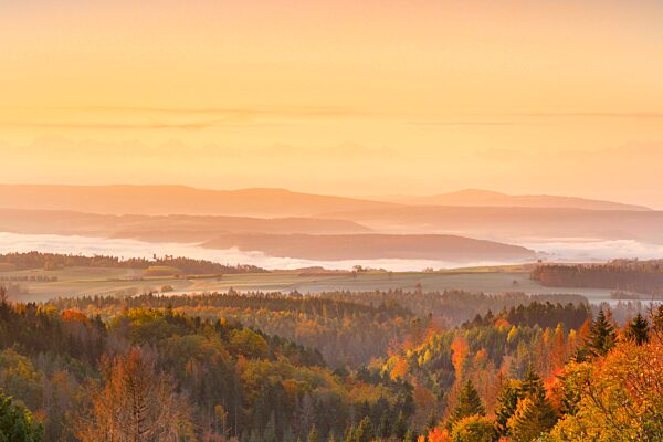 Herbstlicher Sonnenaufgang mit Nebelschwaden über dem hügeligen Mittelland, Schweizer Alpen im Hintergund, Aussicht von Höchenschwand im Schwarzwald, Deutschland, Europa