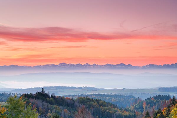 Herbstlicher Sonnenaufgang mit Nebelschwaden über dem hügeligen Mittelland, Schweizer Alpen im Hintergund, Aussicht von Höchenschwand im Schwarzwald, Deutschland, Europa