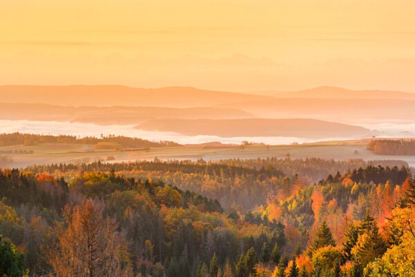 Herbstlicher Sonnenaufgang mit Nebelschwaden über dem hügeligen Mittelland, Schweizer Alpen im Hintergund, Aussicht von Höchenschwand im Schwarzwald, Deutschland, Europa