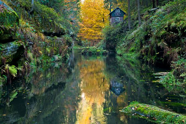 Herbst in der Edmundsklamm mit Fluss Kamenice (deutsch Kamnitz), Kernzone Nationalpark Sächsische Böhmische Schweiz, Elbsandsteingebirge, Hrensko, Decin, Tschechien, Europa