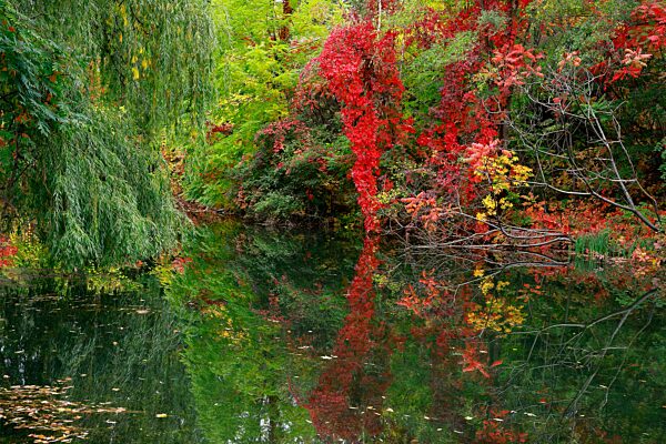 Teich im Herbst, Insel Notre Dame, Montreal, Provinz Quebec, Kanada, Nordamerika