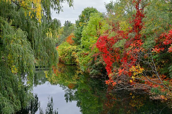 Teich im Herbst, Insel Notre Dame, Montreal, Provinz Quebec, Kanada, Nordamerika