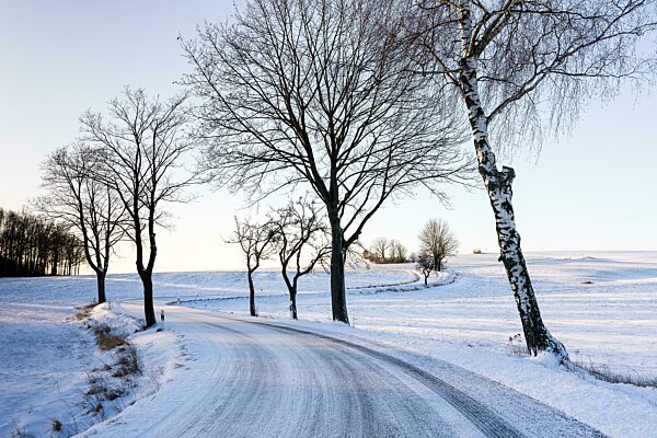 Verschneite Landstraße mit Bäumen zwischen Rammenau und Frankenthal, Landkreis Bautzen, Sachsen, Deutschland, Europa