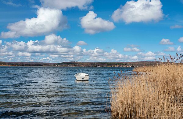 Kleines Ruderboot im Schilfrohr am Selliner See, Rügen, Mecklenburg-Vorpommern, Deutschland, Europa