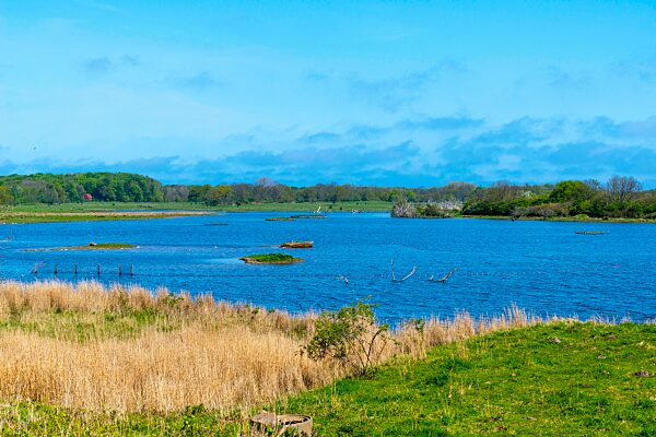 Naturschutzgebiet, NSG Geltinger Birk, Große Lagune, Nieby, Flensburger Förde, Ostsee, Nistinseln, nisten, Inseln, Reet, Wald, Landschaft Angeln, Frühling, blauer Himmel, Schleswig-Holstein, Deutschland, Europa