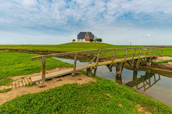 Hallig Nordstrandischmoor, Gemeinde Nordstrand, Amalienwarft, Steg, Graben, Biosphärenreservat, Nationalpark Schleswig-Holsteinisches Wattenmeer, Nordfriesland, Schleswig-Holstein, Deutschland, Europa