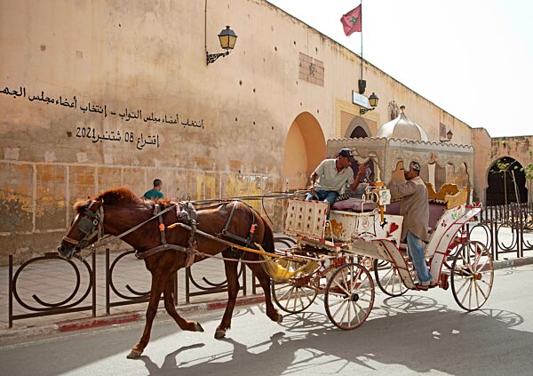 Pferdekusche, hinten die Stadtmauer, Meknès, Marokko, Afrika