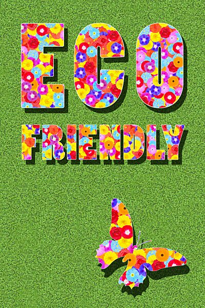 Grafik, Text, englisches Wort Eco-friendly für Öko-Freundlich, mit vielen bunten Blumen auf grünem Hintergrund, in der Sonne mit Schatten als Symbol für Klimaschutz, Naturschutz und Umweltschutz